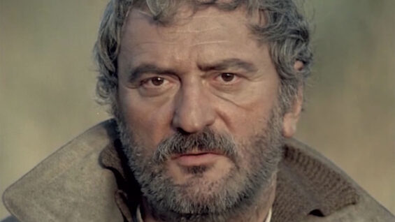 medalion-amza-pellea